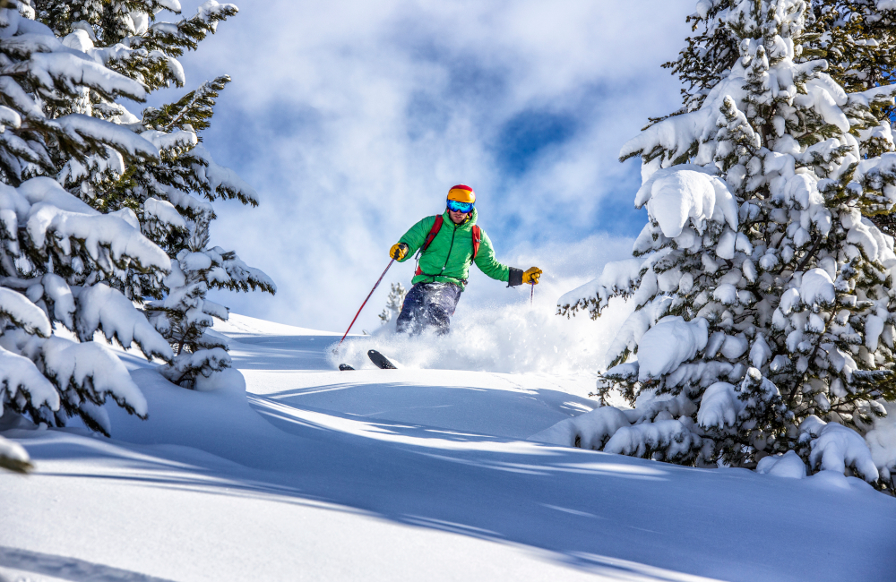 Young male skier skiing in fresh snow through the trees in austrian ski resort